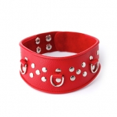 Кожаный красный ошейник с велюровой подкладкой - Sitabella - купить с доставкой в Магнитогорске