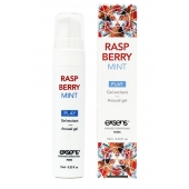 Возбуждающий гель Raspberry Mint с ароматом малины и мяты - 15 мл. - Exsens - купить с доставкой в Магнитогорске