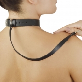 Зеленый меховой ошейник с кожаным поводком - Sitabella - купить с доставкой в Магнитогорске