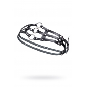 Черный кожаный пояс с кольцами - Pecado - купить с доставкой в Магнитогорске