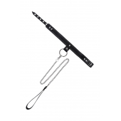 Черный узкий однослойный ошейник с серебристым поводком-цепочкой - Pecado - купить с доставкой в Магнитогорске