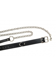 Черный ошейник с поводком Wild - Lola Games - купить с доставкой в Магнитогорске