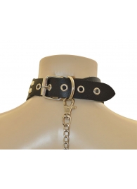 Ошейник  Веселый Роджер - Sitabella - купить с доставкой в Магнитогорске