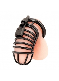 Черная металлическая клетка с замком Deluxe Chastity Cage - BlueLine - купить с доставкой в Магнитогорске