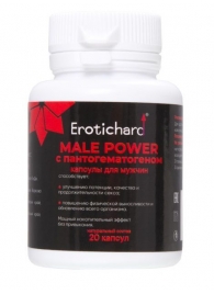 Капсулы для мужчин Erotichard male power с пантогематогеном - 20 капсул (0,370 гр.) - Erotic Hard - купить с доставкой в Магнитогорске