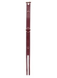 Бордовый ремень Halo Waist Belt - размер L-XL - Shots Media BV - купить с доставкой в Магнитогорске