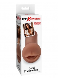 Мастурбатор-ротик Coed Cocksucker - Pipedream - в Магнитогорске купить с доставкой
