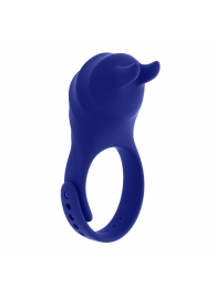 Синее эрекционное виброкольцо с клиторальной подушечкой и пультом ДУ Adjustable Fun Ring - Zero Tolerance - в Магнитогорске купить с доставкой