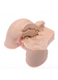 Мастурбатор-полуторс Naked Factory Kate - Naked Factory - в Магнитогорске купить с доставкой