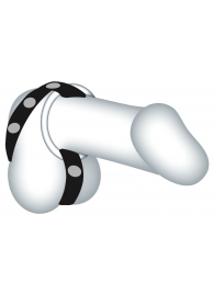 Подхват для мошонки с 3 съемными эрекционными кольцами Leder-Riemen - Orion - в Магнитогорске купить с доставкой