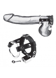 Утяжка на пенис на замочке Duo Cock And Ball Lock - BlueLine - купить с доставкой в Магнитогорске