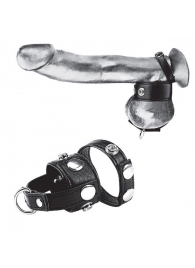 Утяжка для мошонки и пениса Cock Ring With 1  Ball Stretcher And Optional Weight Ring - BlueLine - купить с доставкой в Магнитогорске