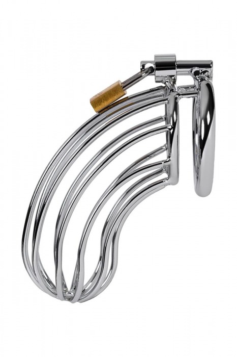 Серебристый пояс верности TOYFA на замочке - ToyFa - купить с доставкой в Магнитогорске