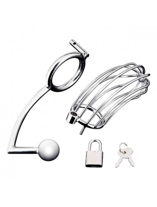 Серебристая металлическая клетка с анальным стимулятором Cock Cage - BlueLine - купить с доставкой в Магнитогорске