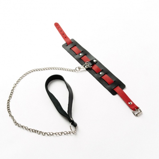 Черный ошейник с красным ремешком и поводком - Crazy Handmade - купить с доставкой в Магнитогорске