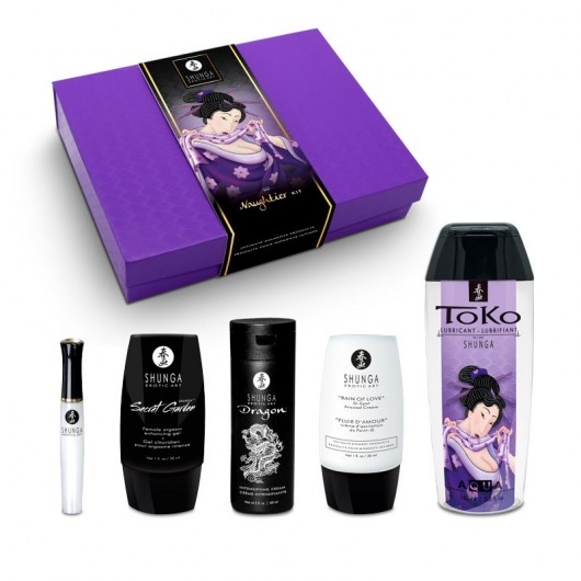 Подарочный набор Naughter Kit - Shunga - купить с доставкой в Магнитогорске