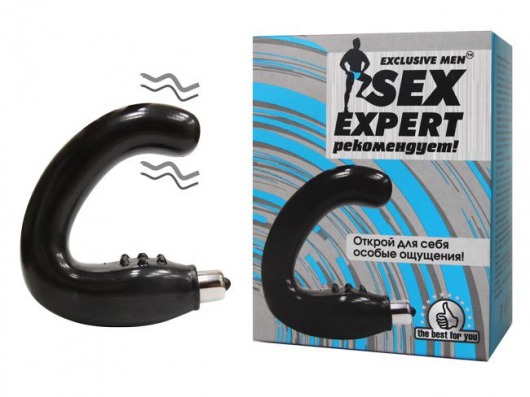Чёрный массажёр простаты серии Sex Expert - Sex Expert - в Магнитогорске купить с доставкой