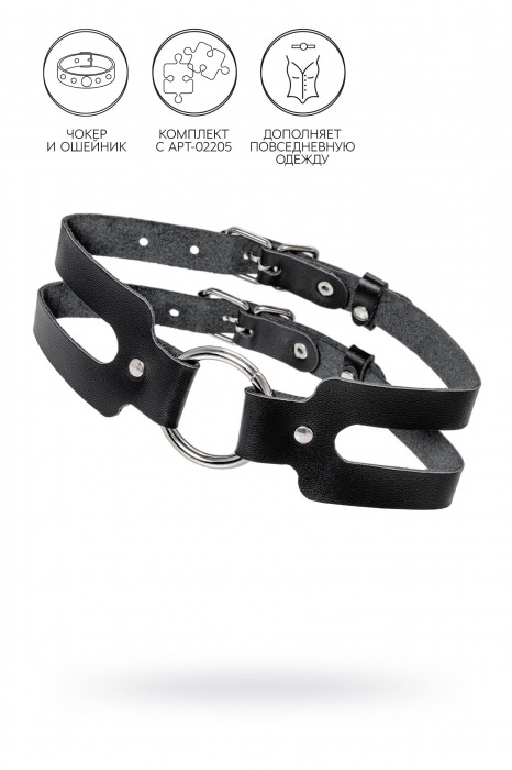 Черный кожаный чокер-ошейник из двух ремешков - Pecado - купить с доставкой в Магнитогорске