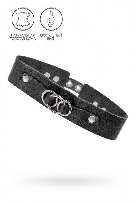 Черный чокер-ошейник со связанными кольцами на подложке - Pecado - купить с доставкой в Магнитогорске