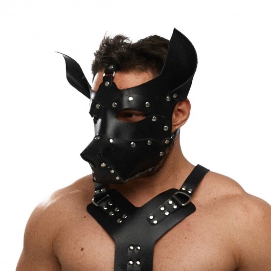 Черная кожаная маска «Собака» - Crazy Handmade - купить с доставкой в Магнитогорске