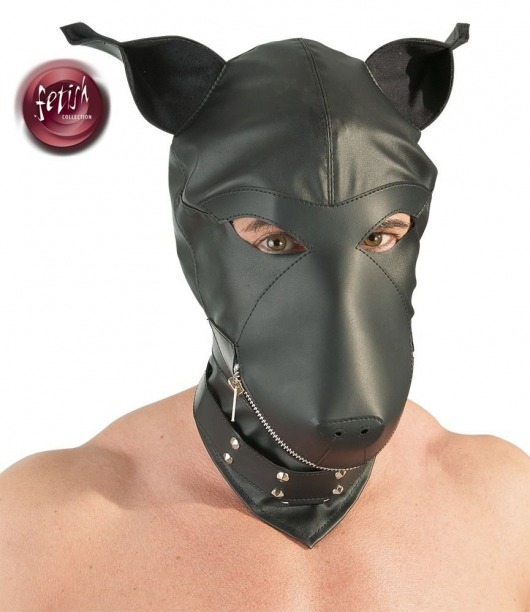 Шлем-маска Dog Mask в виде морды собаки - Orion - купить с доставкой в Магнитогорске